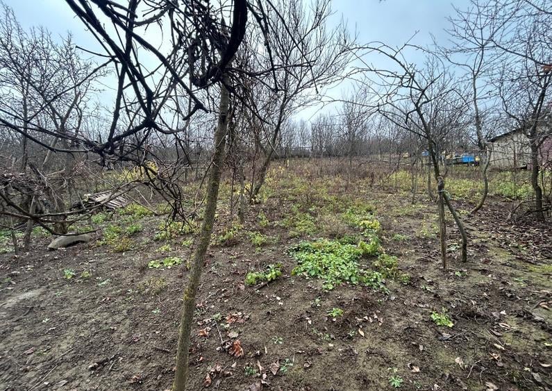 Vand teren 2400mp si casa batraneasca langa Cluj - 4