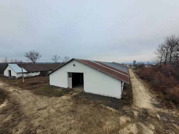 Hale de inchiriat - 1200m2 pana la 7200m2 Teiu Jud Hunedoara langa autostrada - 4