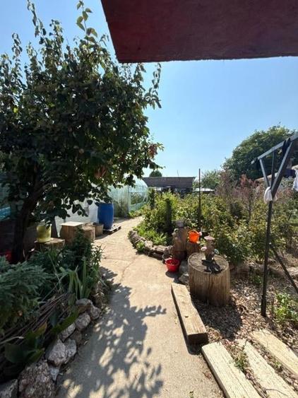 O oaza de liniste in Sabareni - 10