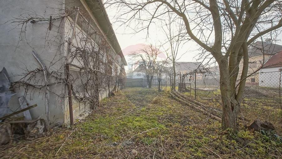 Comision 0%! 2 case Cincu, teren 2134mp, sura & curte libera - 41