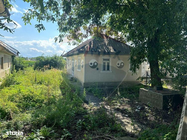Teren intravilan 3.765 mp cu casa Bodesti de Jos - 1