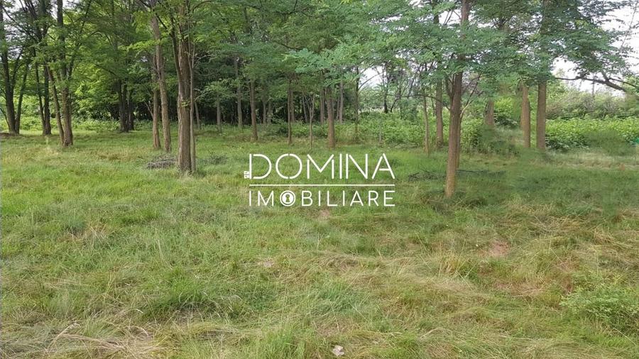 Vanzare teren intravilan 6843 mp, aproape de Manastirea Polovragi - 8