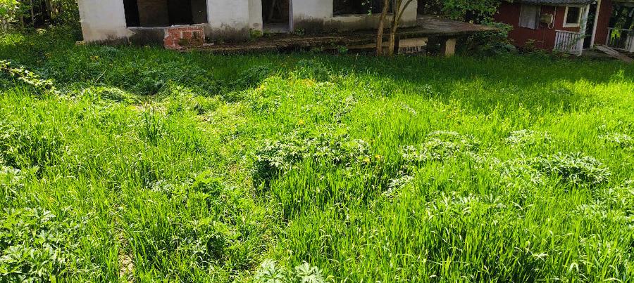 Teren si casa la rosu de vanzare in Busteni - 1