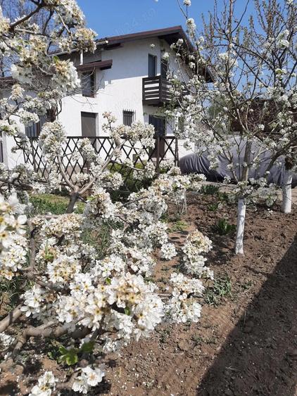 Casa + teren de vanzare - 1