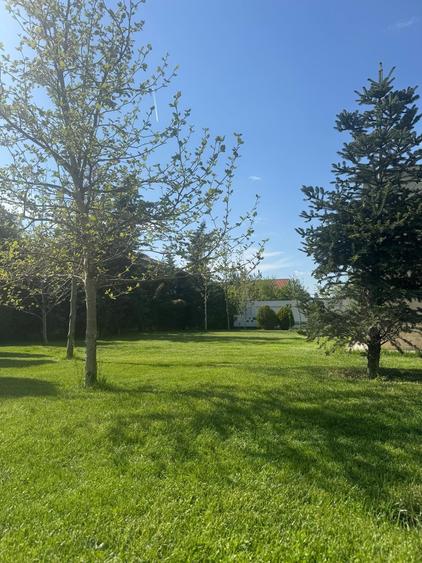 Snagov, vila individuala P+1, 6 camere, teren 2481 mp, - 5