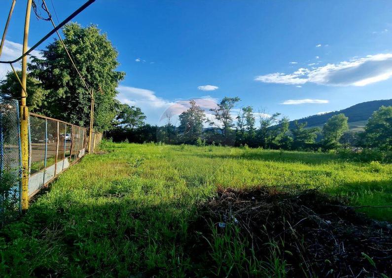 Teren 1,749mp Piatra-Neamt / Strada Zambilelor - 4