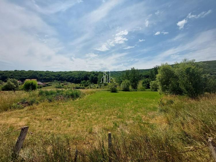 Teren 5200 Mp, Corunca, strada Primăriei - 2