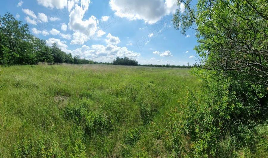 Casa si teren Comuna Fagetelu - 3