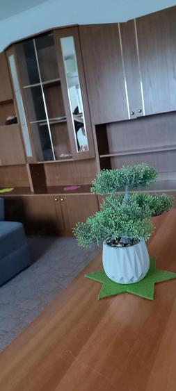 Ofer spre inchiriere garsoniera - 6