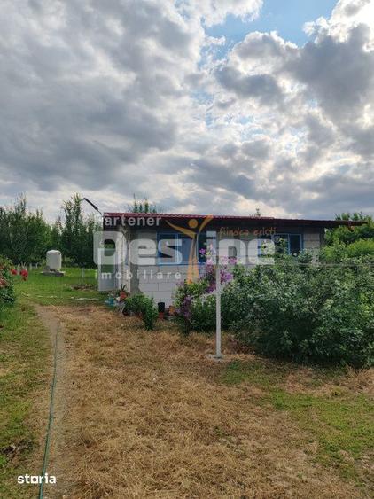 Casă cu 4 camere cu Teren 4800 Mp în Crețești