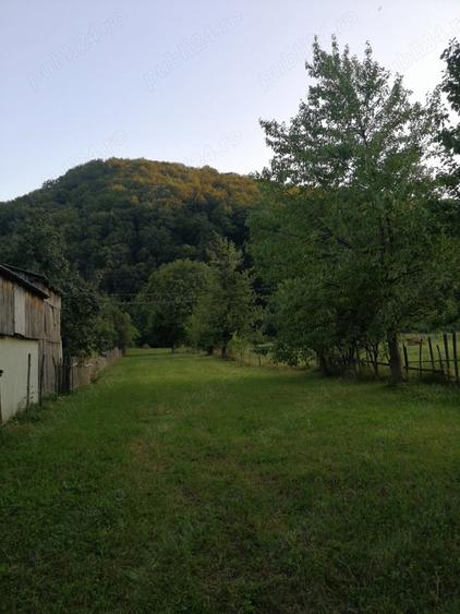 Vand casa ?i teren 2500 mp la munte in Valea Uzului. - 4