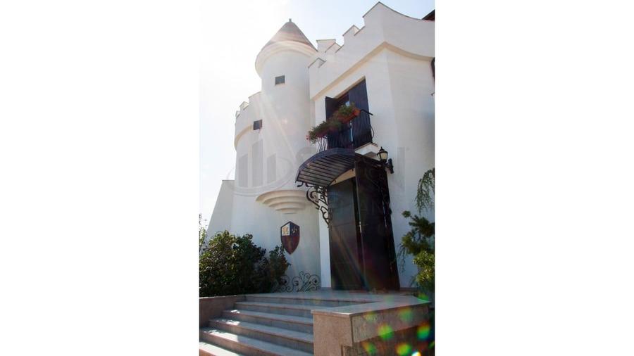 REV2000904 Vila spectaculoasa - zona Cernica - 6