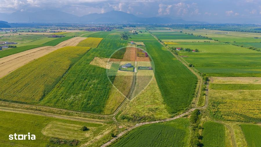 Teren de 1400 mp, în Central