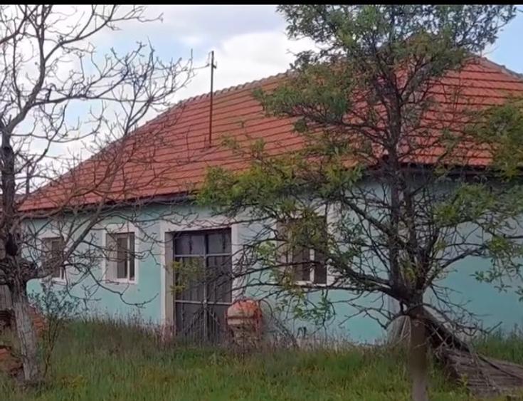 Vand casa in Sat Salajeni Judetul Arad  - 1