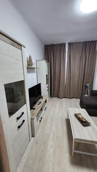 Apartament 2 camere Calea Bucuresti - 8