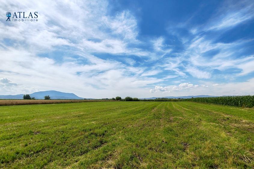 Teren Construcții intravilan de 500 mp, în Stupini