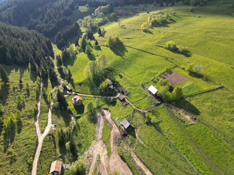 Teren de vanzare, Muntele Bocului Baisoara ,teren1000 mp - 23