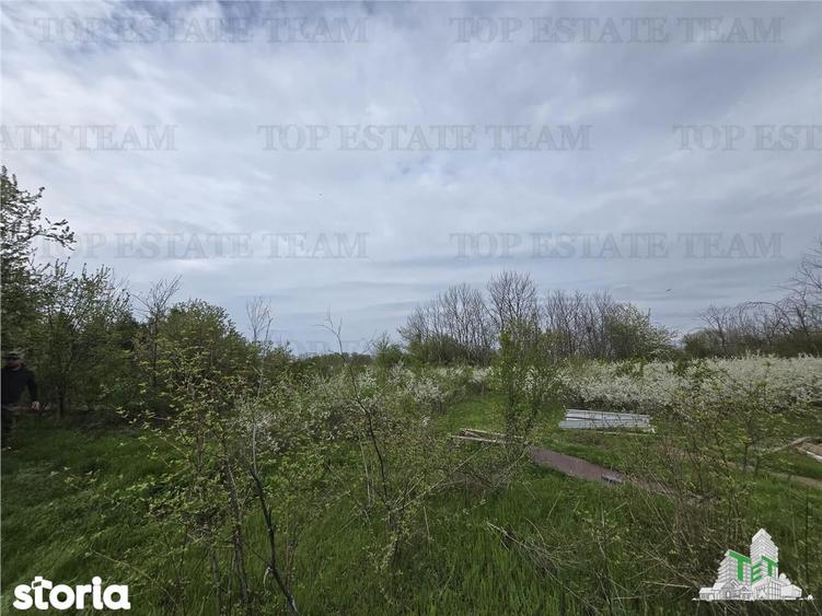 TEREN INTRAVILAN la 20 minute de Bucuresti - 3