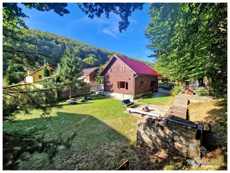 Casa de vacanta!!! Valea Bozom- Apata - 20