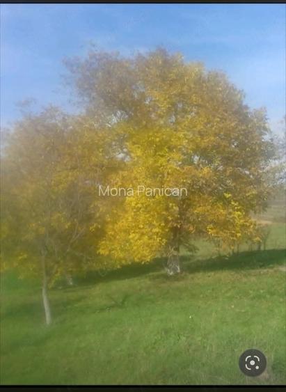 Casă cu 3 camere cu Teren 4200 Mp în Popeni