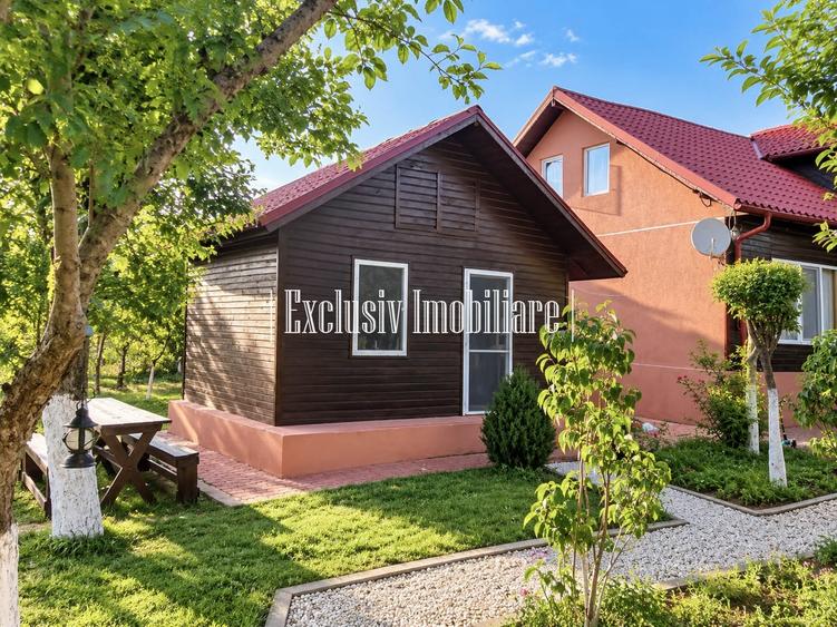Casă cu 4 camere cu Teren 3000 Mp în Adamclisi