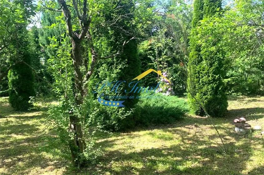 Casă cu Teren 3043 Mp în Provița de Sus