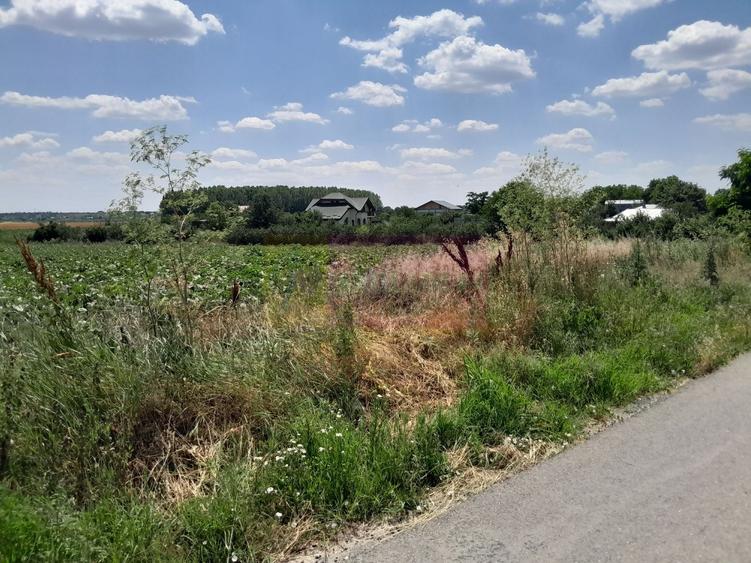 Teren Construcții intravilan de 16500 mp, în Teișori