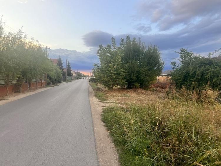 Teren Intravilan - 2 loturi de 500 mp - Str. Trandafirilor/ Berceni - 4