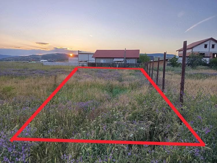 Teren de 630 mp, în Schela