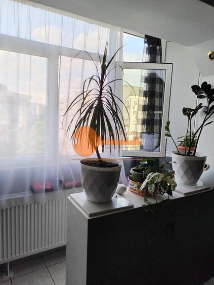 Apartament 3 Camere Decomandat | 2 Băi | Metrou Râul Doamnei – 2 Min - 4