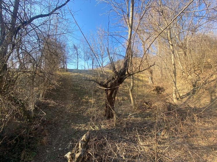 Teren de vanzare 1.622 mp Cornu de sus - 4