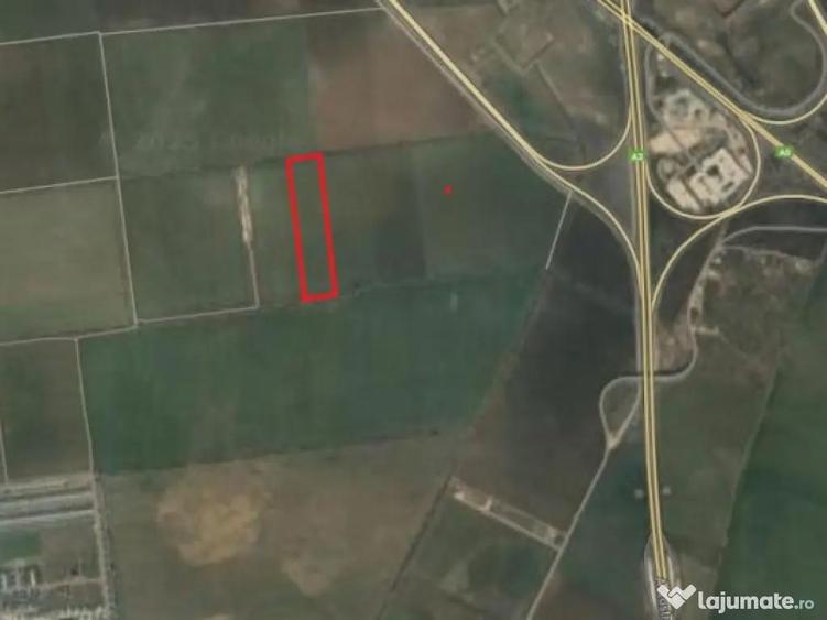 Teren 16.434mp, intravilan, Tunari-Lacul Pasarea - 3