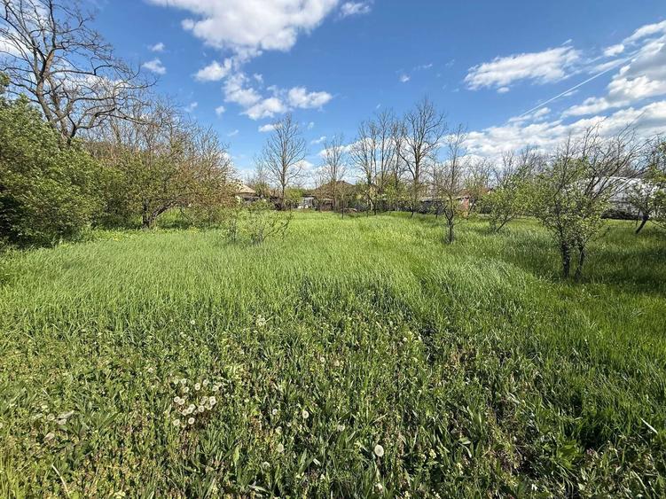 Vand casa locuibila cu teren 1.770 mp - C.A. Rosetti, Buzau - 4