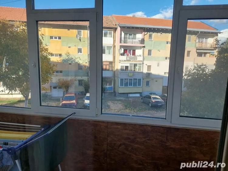 Apartament Buzias - 1