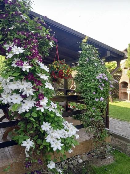 Vand Casa de vanzare in jude?ul Prahova, comuna Dragane?ti, sat Cornu de Jos, str. Principala - 1