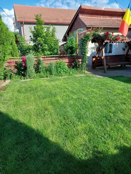 Casa de vanzare in Slatina, cartier Clocociov - 10