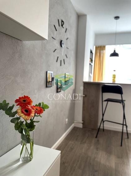 Garsoniera renovata modern str Nada Florilor - Teiul Domnei - 2