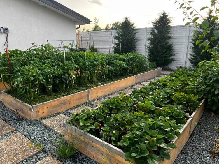 Teren anexa + livada, toate utilitățile - 13