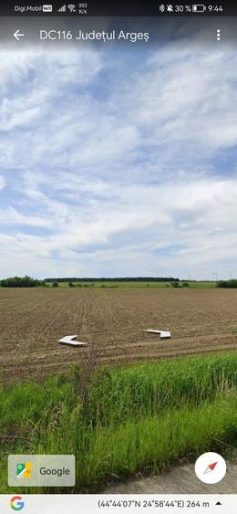 20 Ha Padure stejar la 10 km de Pitesti - 2