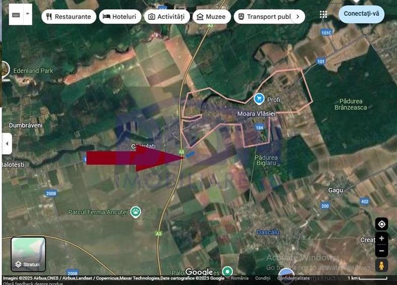 Teren Moara Vlasiei super pret, ideal pentru investitie - 2