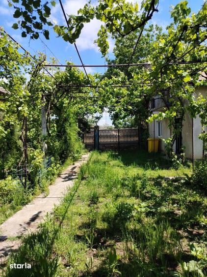 PROPRIETATE MARE IN COMUNA LEU, DOLJ, 2023MP TEREN - 14