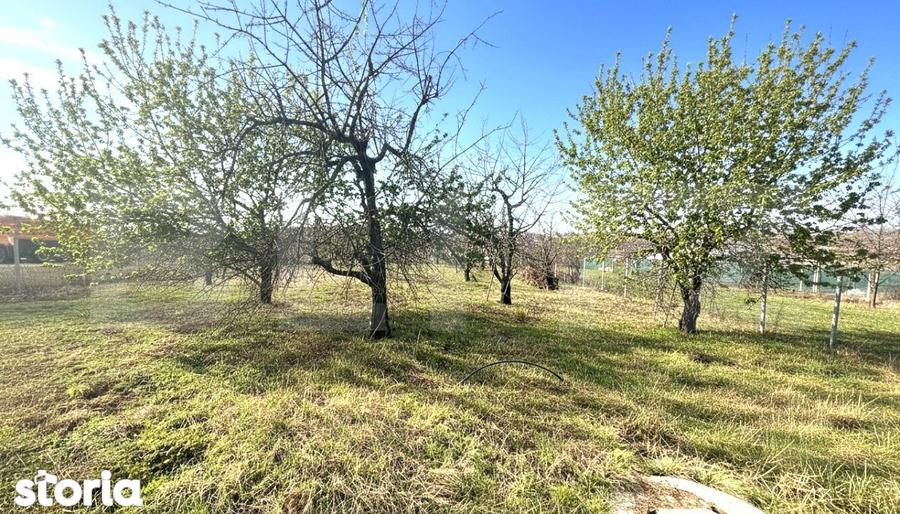Teren cu dubla-deschidere, Paleu, 1000mp - 1