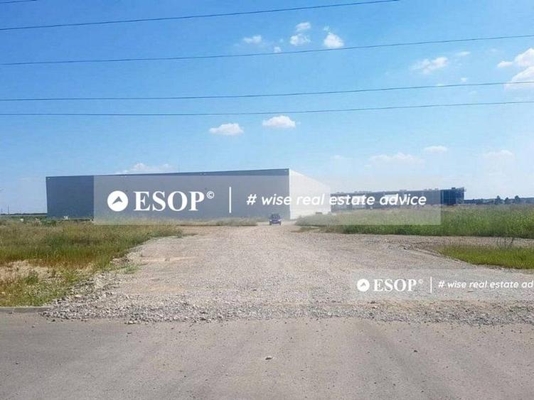 WDP Industrial Park Paulesti, hale de inchiriat, 2.500 - 14.150 mp - 1