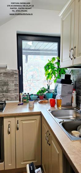 Proprietate moderna,multifunctionala,cu trafic auto si pietonal,Piatra Neamt - 10