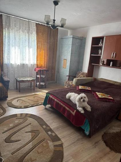 Proprietar,vind casa cu teren,acte la zi,situata in sat Paltinisu comuna Cazane?ti,judet Mehedin?i - 2