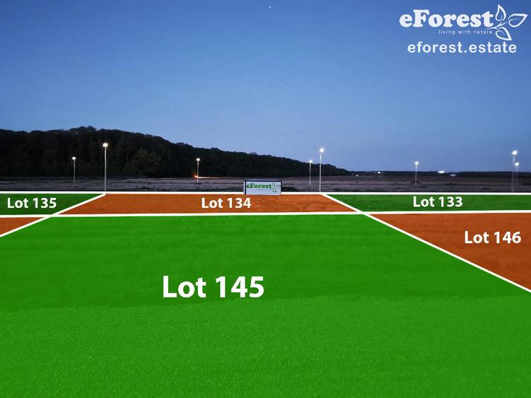 Terenuri premium de vanzare, langa padure, acces asfaltat din DN1A - 2