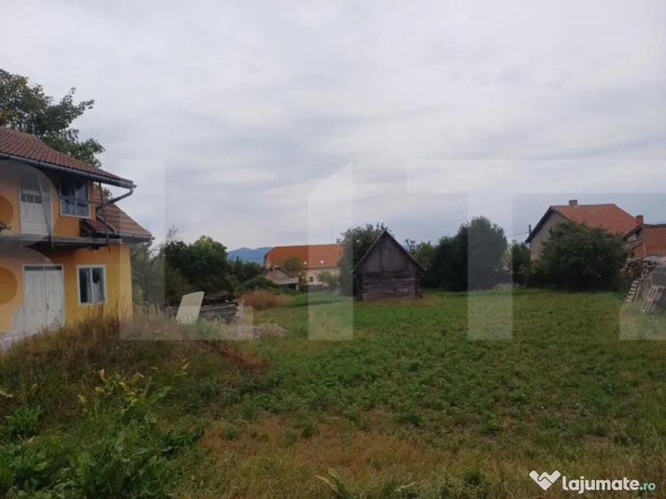 Casa taraneasca in centru Hatuica - 4