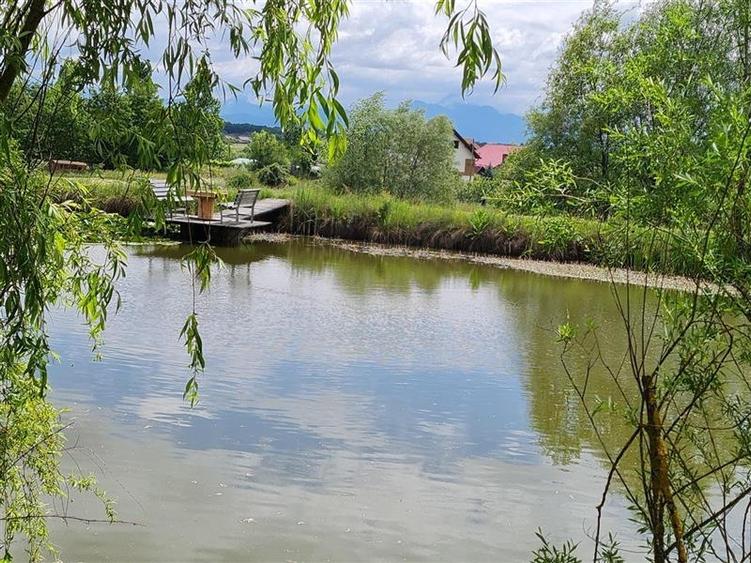 Film & Tur LIVE! Rafinament in cartier linistit, pe 30.000 mp teren paradis, fac - 13