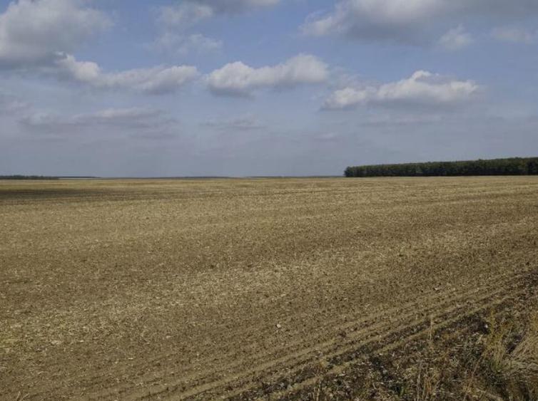 Teren extravilan Varvoru de Jos, jud Dolj - 7