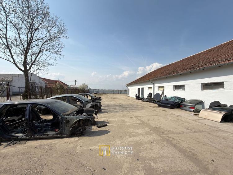 Hala + teren de închiriat pentru service auto / dezmembrări / depozit - 5